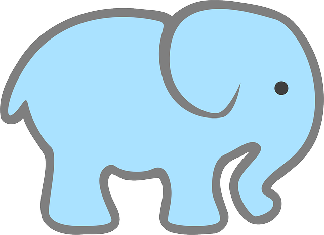 Miso K (Full-Stack Developer)